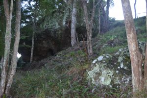 A rock shelter feature located in the Reserve area. (Image sourced  HNZ Media Release)
